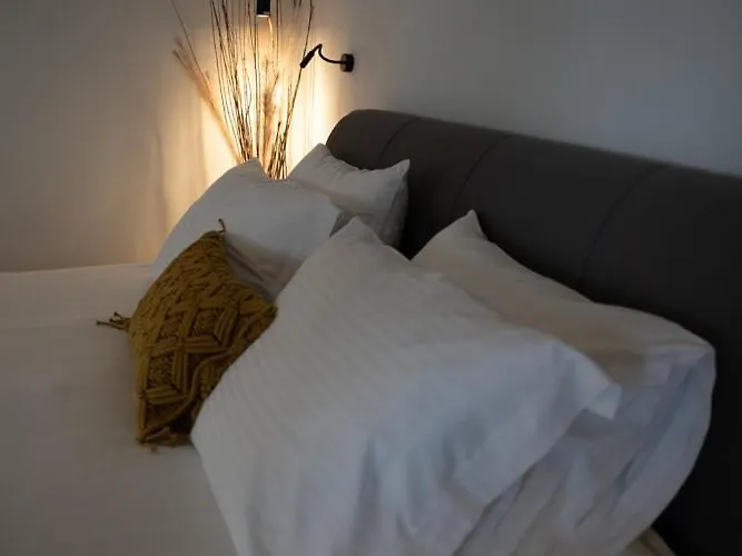 Amata גאליסאס