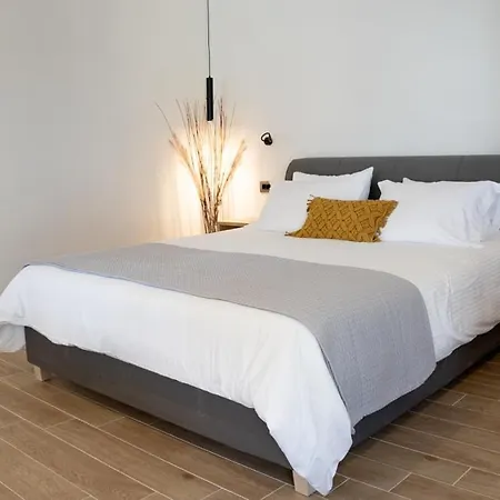 Amata * ガリッサス